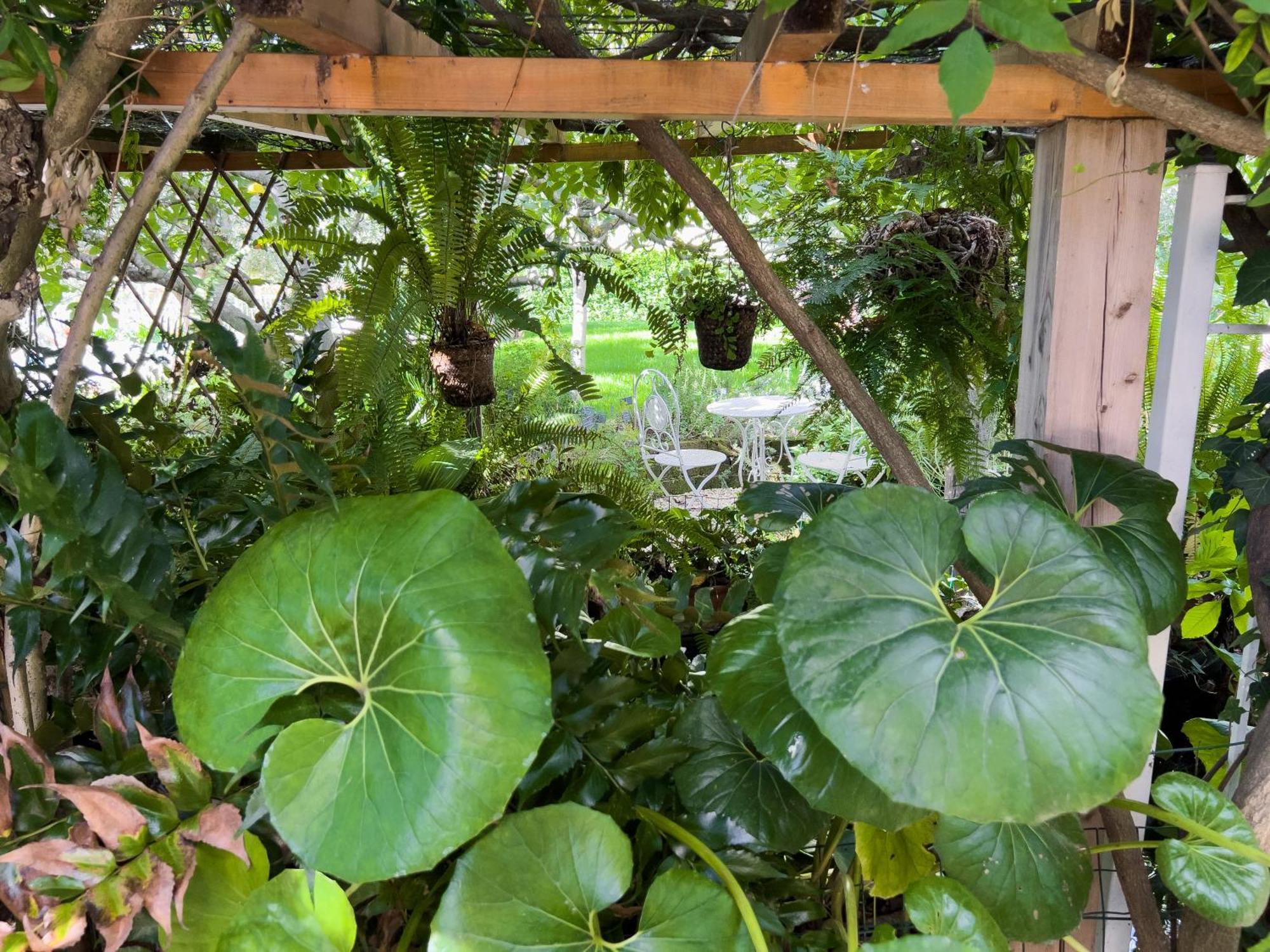 Villa La Rodina Diano Marina Dış mekan fotoğraf