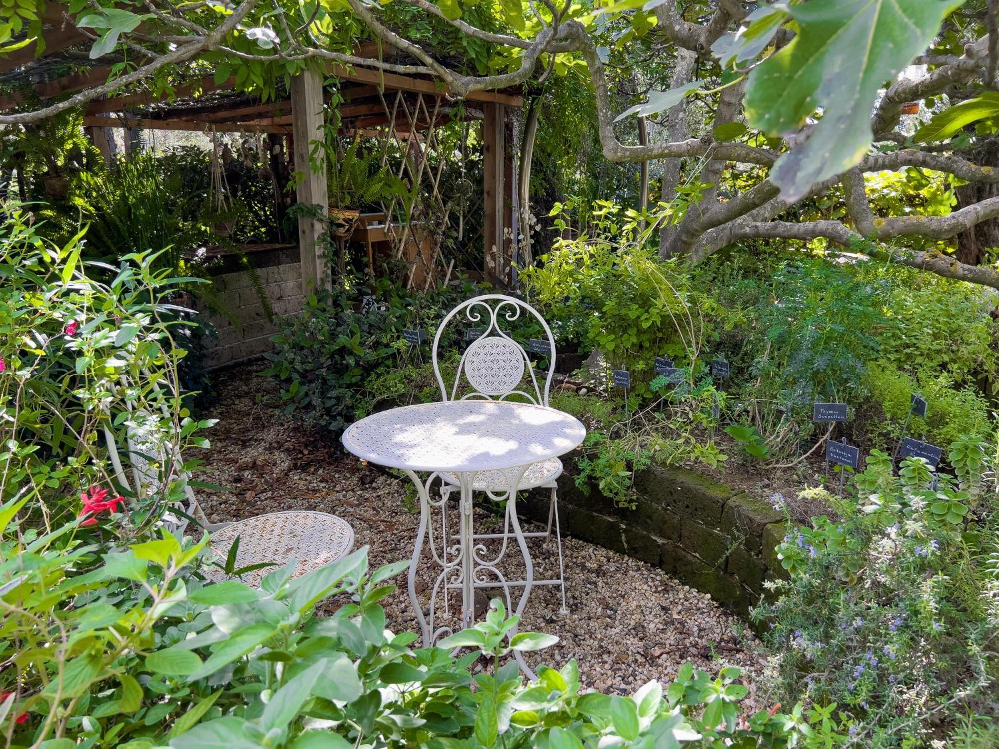 Villa La Rodina Diano Marina Dış mekan fotoğraf